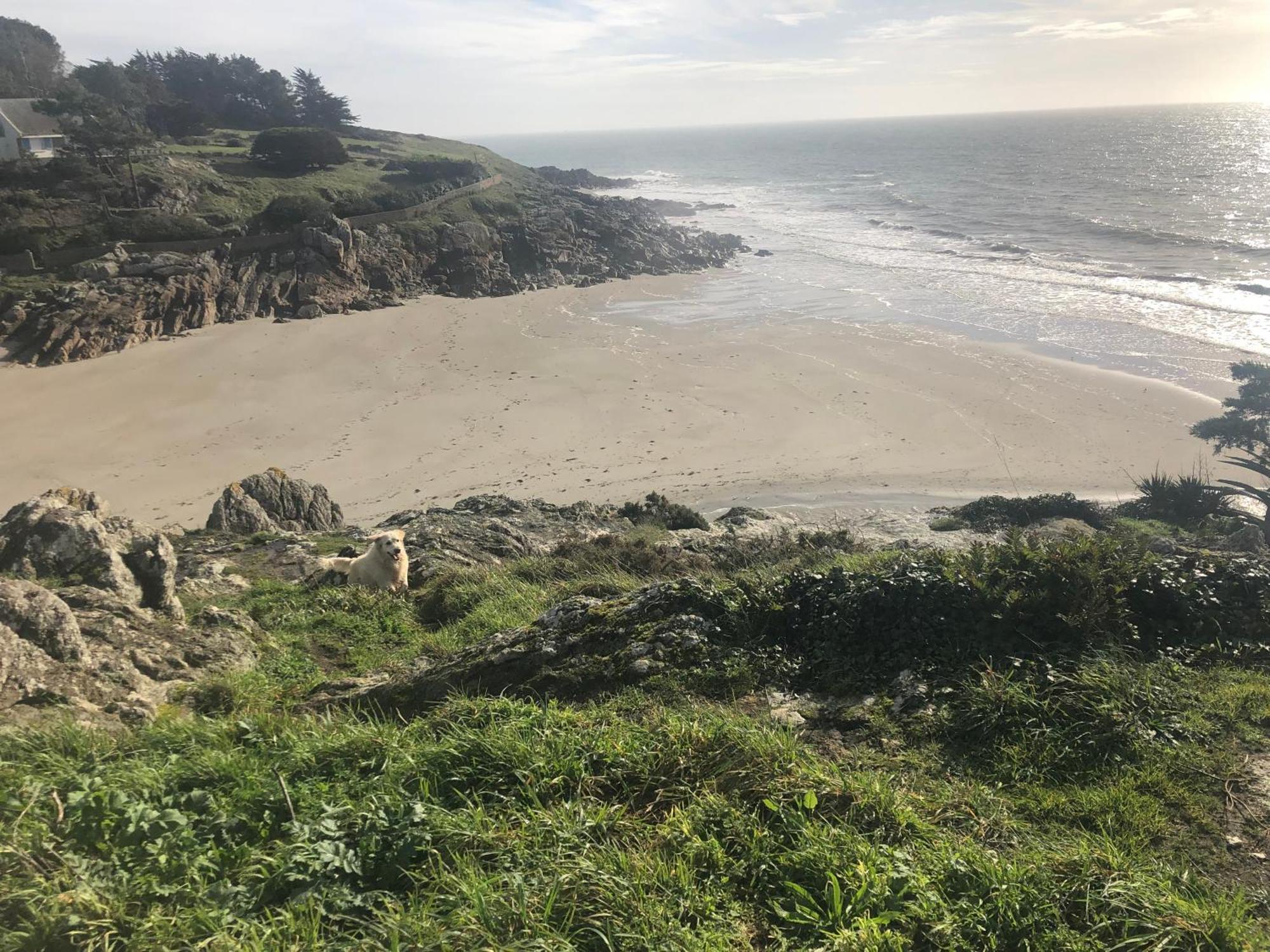 Villa Tidinghi, Plage De Rospico A Pied 네베즈 외부 사진